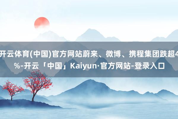 开云体育(中国)官方网站蔚来、微博、携程集团跌超4%-开云「中国」Kaiyun·官方网站-登录入口
