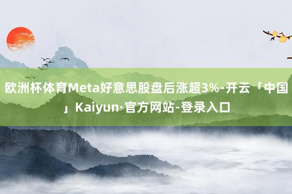 欧洲杯体育Meta好意思股盘后涨超3%-开云「中国」Kaiyun·官方网站-登录入口