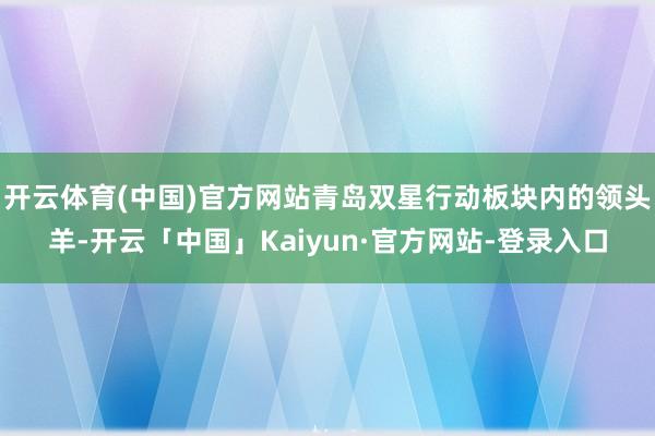开云体育(中国)官方网站青岛双星行动板块内的领头羊-开云「中国」Kaiyun·官方网站-登录入口