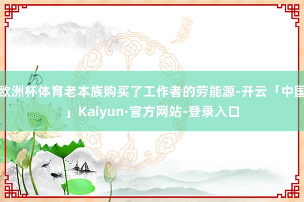 欧洲杯体育老本族购买了工作者的劳能源-开云「中国」Kaiyun·官方网站-登录入口