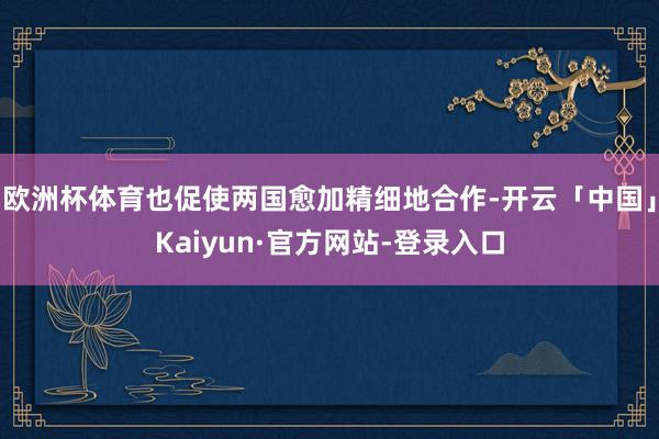 欧洲杯体育也促使两国愈加精细地合作-开云「中国」Kaiyun·官方网站-登录入口