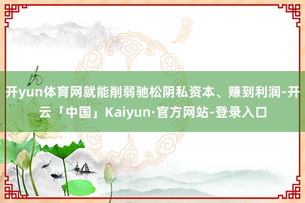 开yun体育网就能削弱驰松阴私资本、赚到利润-开云「中国」Kaiyun·官方网站-登录入口