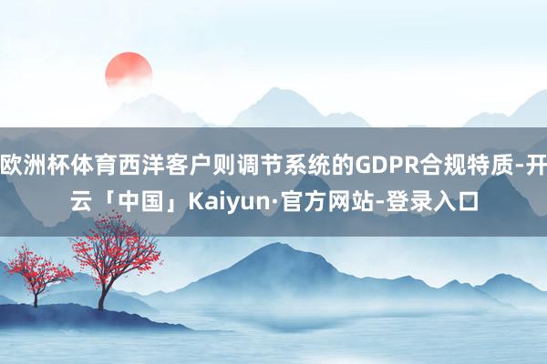 欧洲杯体育西洋客户则调节系统的GDPR合规特质-开云「中国」Kaiyun·官方网站-登录入口