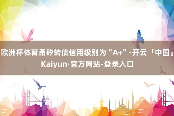 欧洲杯体育甬矽转债信用级别为“A+”-开云「中国」Kaiyun·官方网站-登录入口