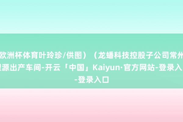 欧洲杯体育叶玲珍/供图）（龙蟠科技控股子公司常州锂源出产车间-开云「中国」Kaiyun·官方网站-登录入口