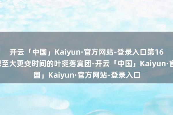 开云「中国」Kaiyun·官方网站-登录入口第16师的根源可以追想至大更变时间的叶挺落寞团-开云「中国」Kaiyun·官方网站-登录入口
