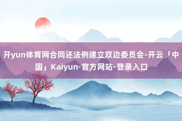 开yun体育网　　合同还法例建立双边委员会-开云「中国」Kaiyun·官方网站-登录入口