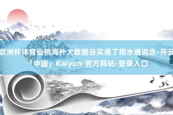 欧洲杯体育仙桃海外大数据谷买通了雨水通说念-开云「中国」Kaiyun·官方网站-登录入口