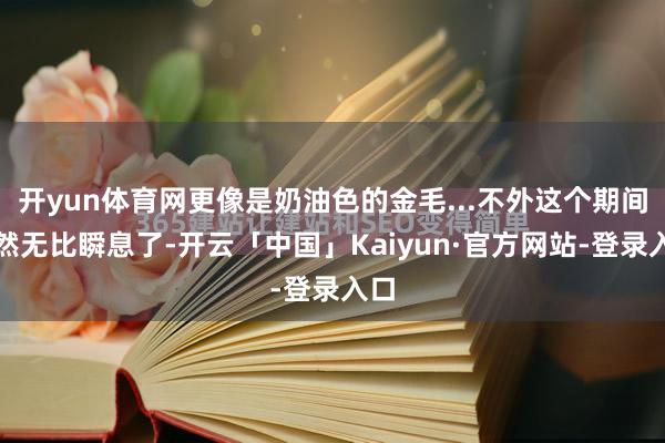 开yun体育网更像是奶油色的金毛...不外这个期间亦然无比瞬息了-开云「中国」Kaiyun·官方网站-登录入口