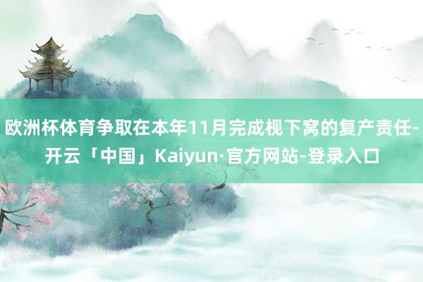 欧洲杯体育争取在本年11月完成枧下窝的复产责任-开云「中国」Kaiyun·官方网站-登录入口