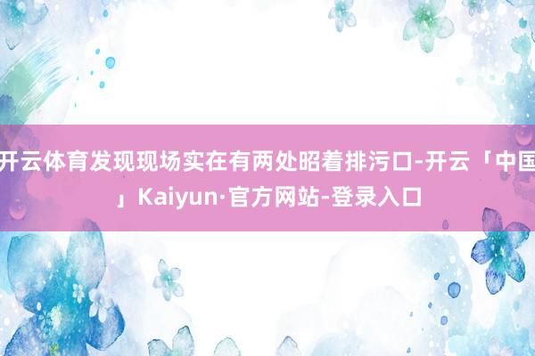 开云体育发现现场实在有两处昭着排污口-开云「中国」Kaiyun·官方网站-登录入口